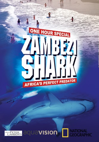 Zambezi Shark: Africa's Prefect Predator