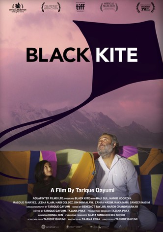 Black Kite