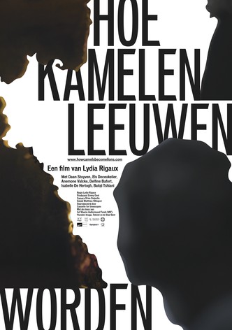 Hoe kamelen leeuwen worden