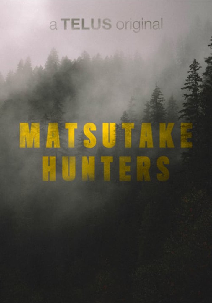 Matsutake Hunters