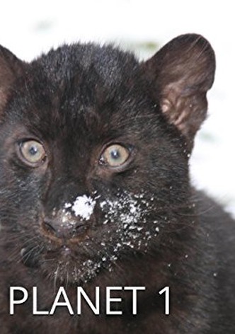 Die Welt der Tierbabys