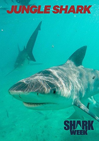 Jungle Shark