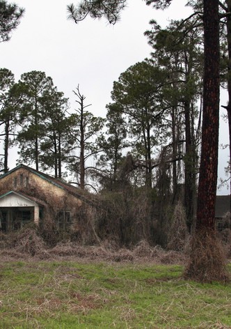Deadly Secrets: The Lost Children of Dozier