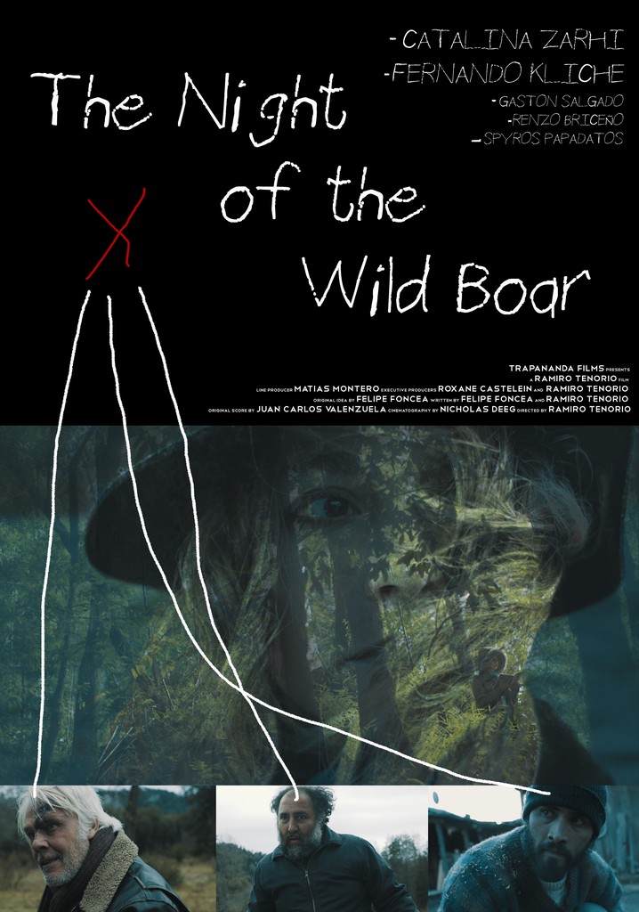 The Night Of The Wild Boar