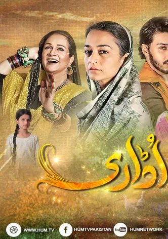 Udaari poster