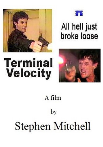 Terminal Velocity
