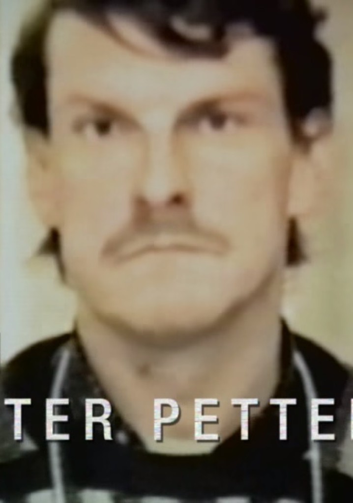 Gåtan Christer Pettersson