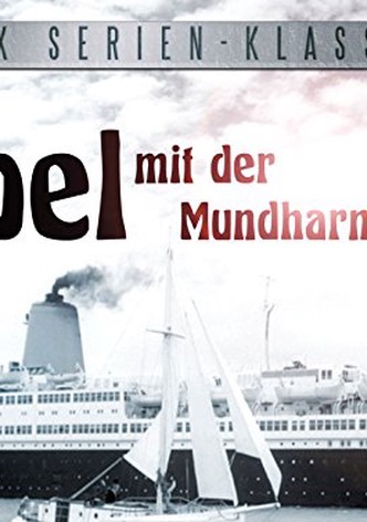 Abel mit der Mundharmonika