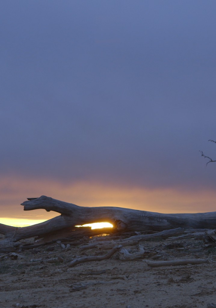 Crowley: Every Cowboy Needs His Horse