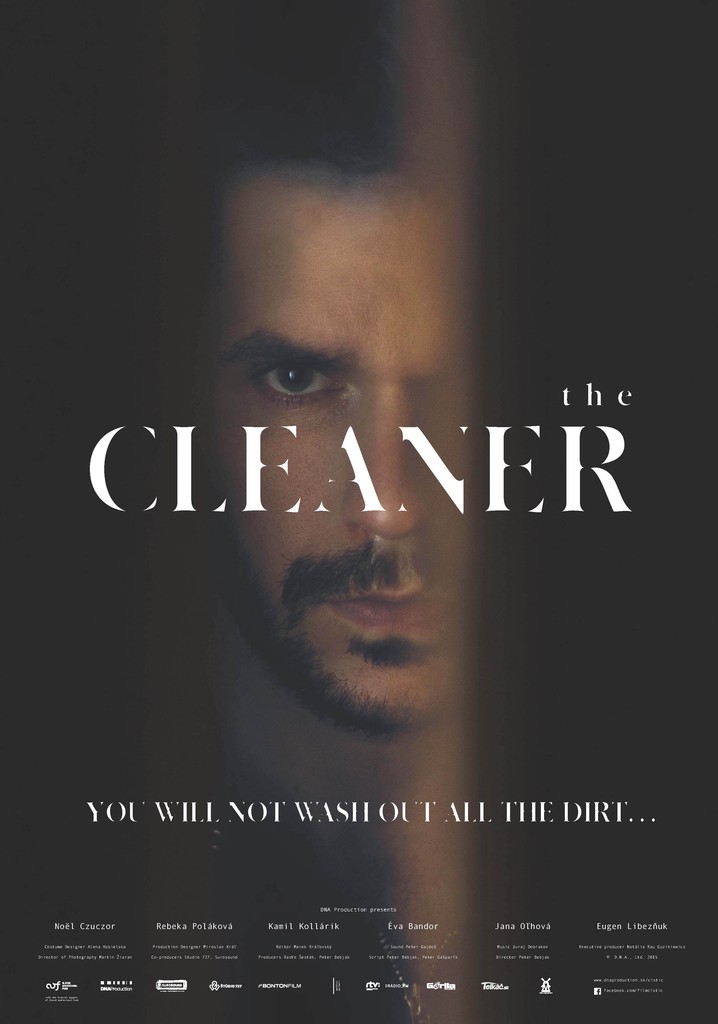 The Cleaner