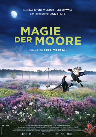 Magie der Moore