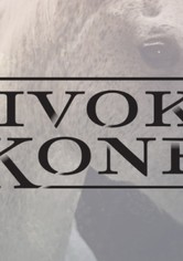 Divocí koně - Série 1