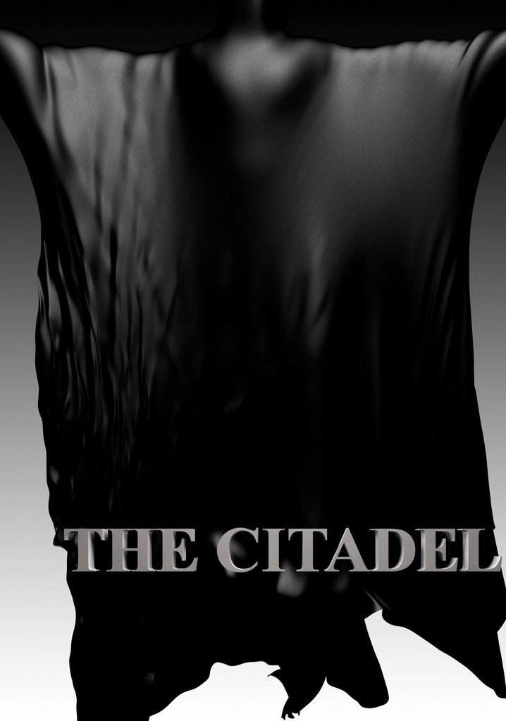 The Citadel