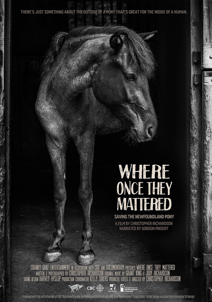 Where Once They Mattered