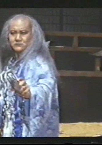 The Kung Fu Kids IV