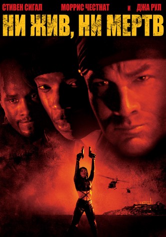 Ни жив, ни мёртв