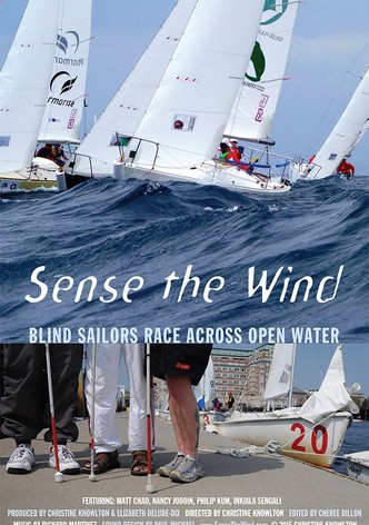 Sense the Wind