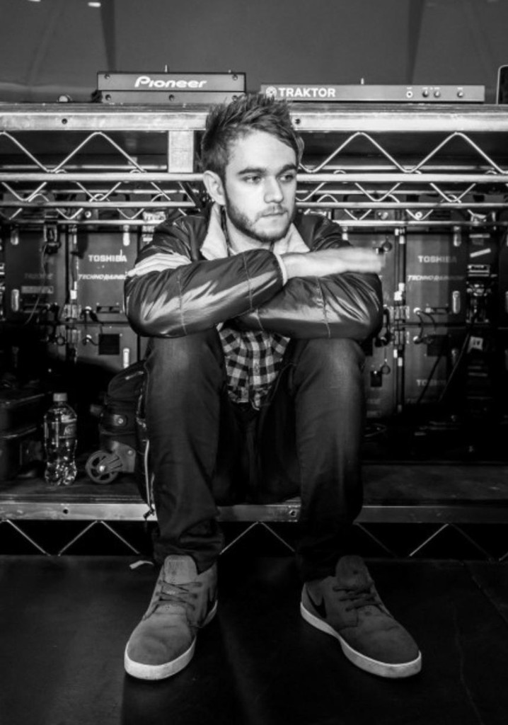 Zedd: 'Moment of Clarity'