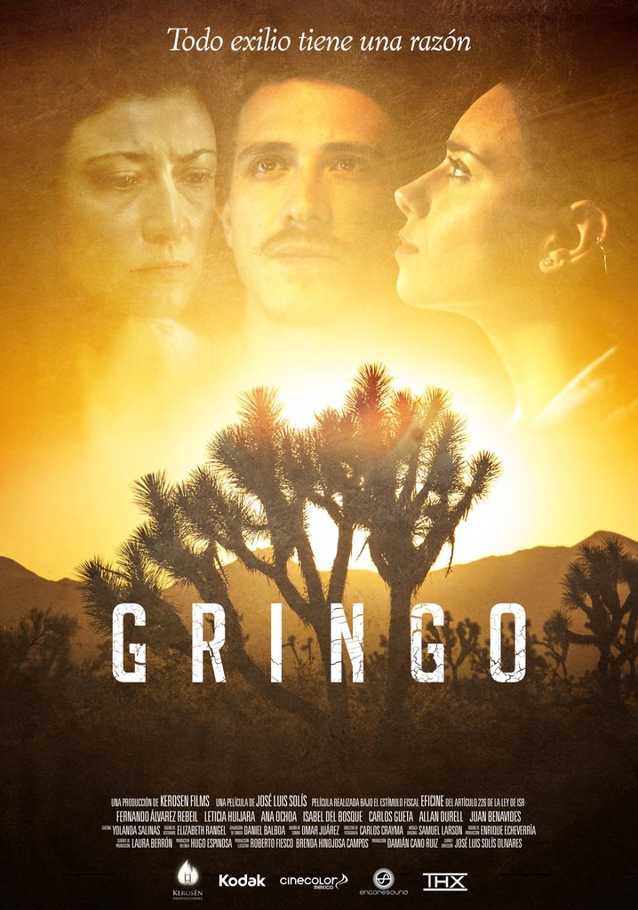 Gringo