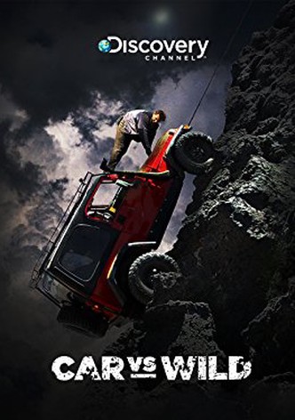 Car Vs Wild