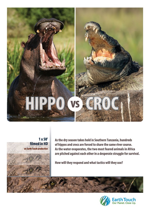 Hipopótamo contra cocodrilo - película: Ver online
