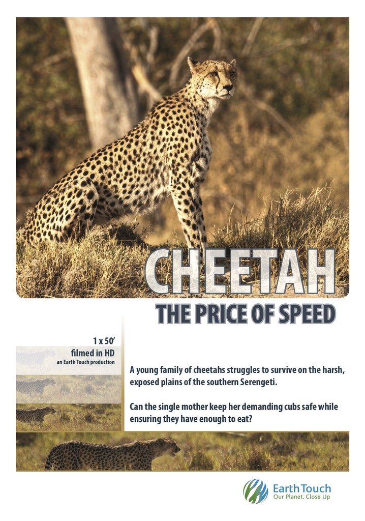 Price Of Cheetah