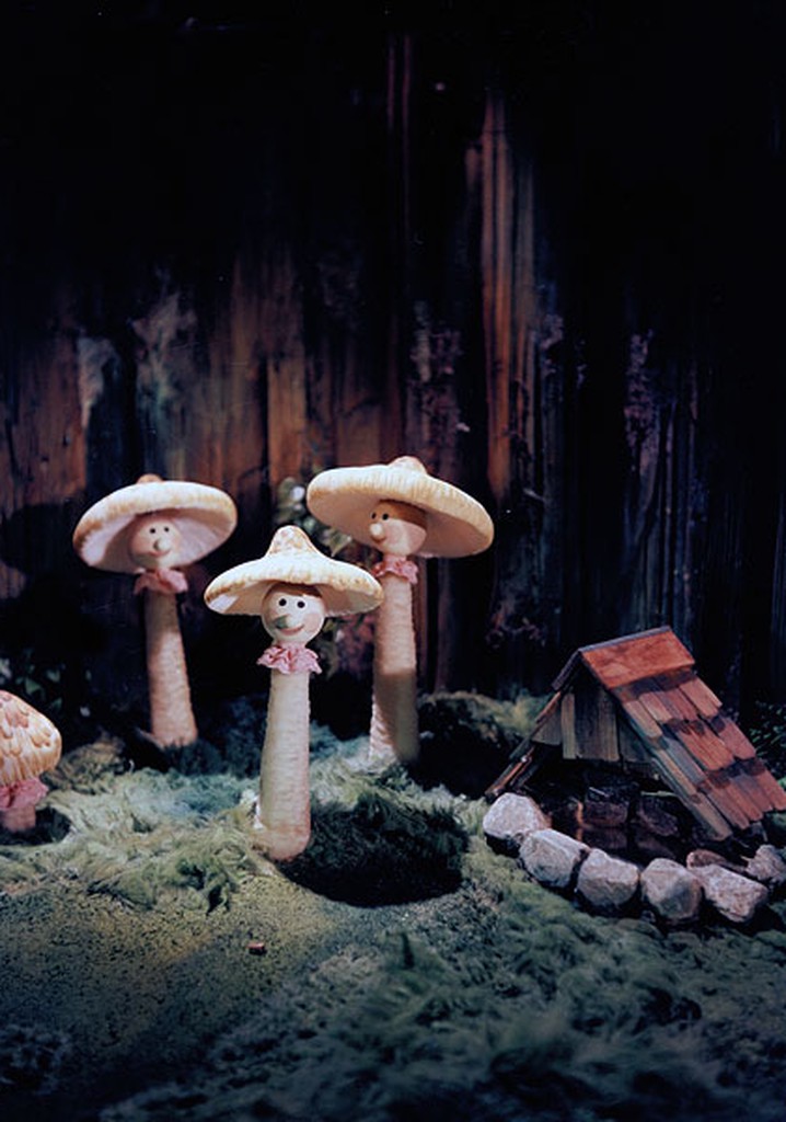 Království květin