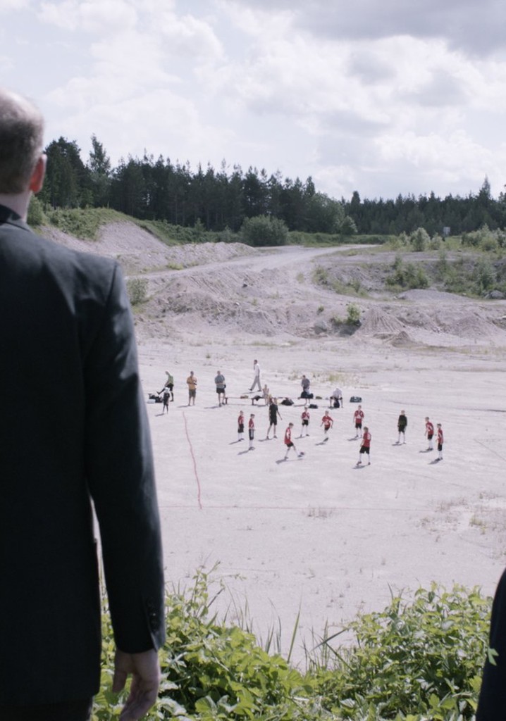 Landscape with Many Moons