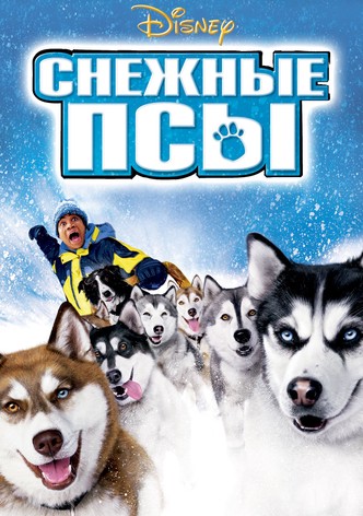 Снежные псы