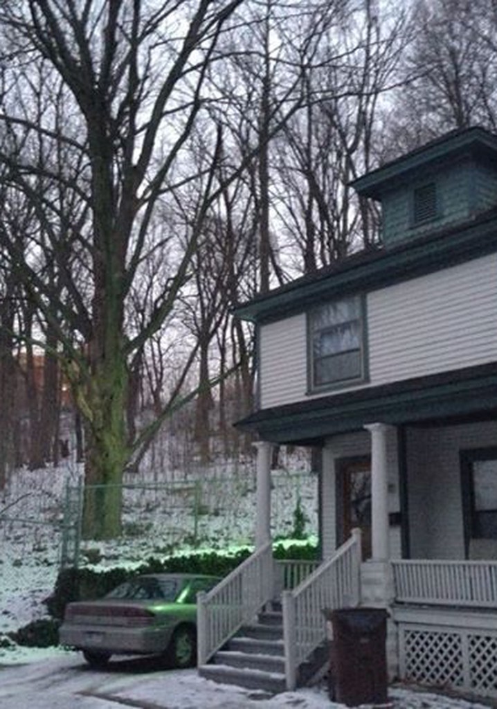 In the Mind of the Damned