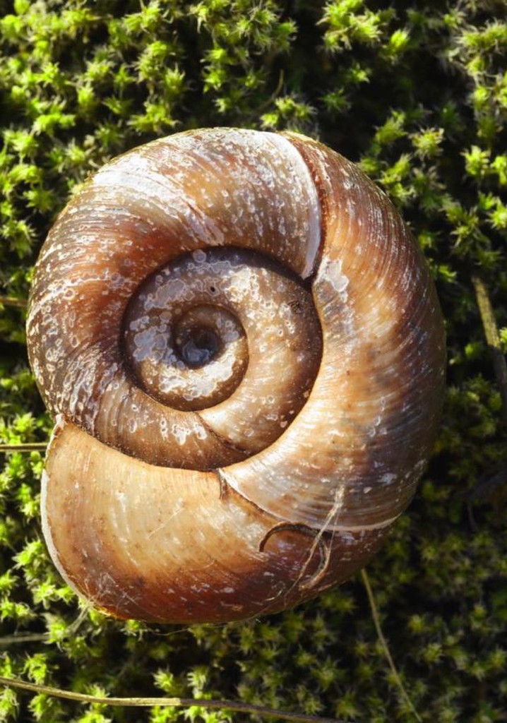 15 Corners of the World watch streaming online