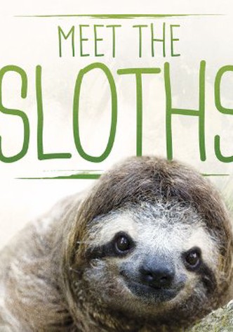 Meet the Sloths