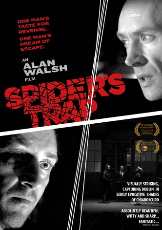 Spiders Trap