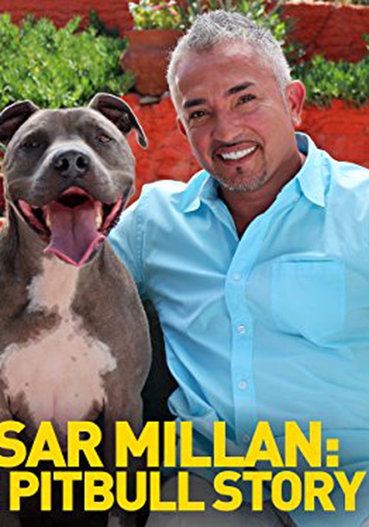 Cesar Millan: Love My Pit Bull