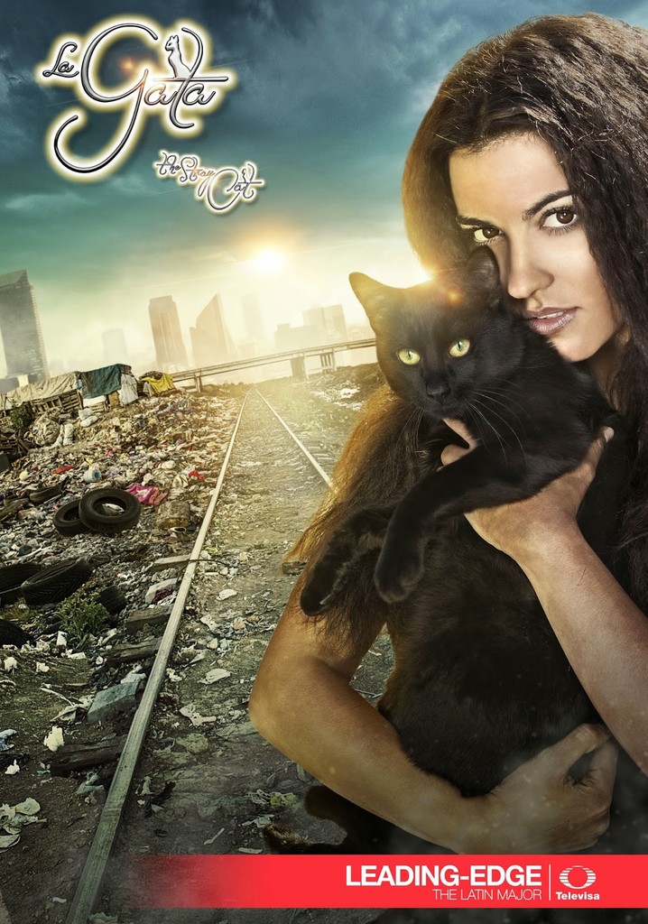 The Stray Cat - streaming tv show online