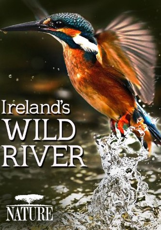 On a River in Ireland