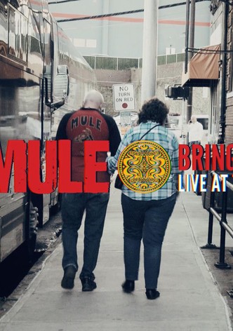 Gov't Mule: Bring On The Music - Live at The Capitol Theatre