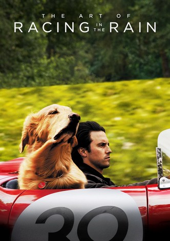 Māksla sacensties lietū