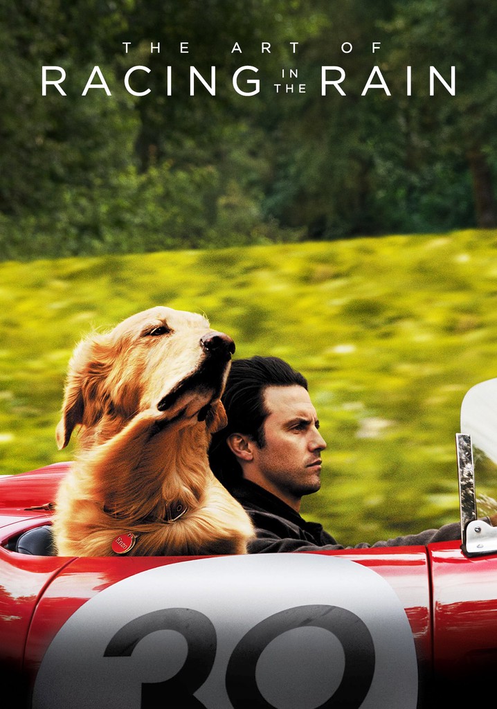 The Art Of Racing In The Rain Streaming Online