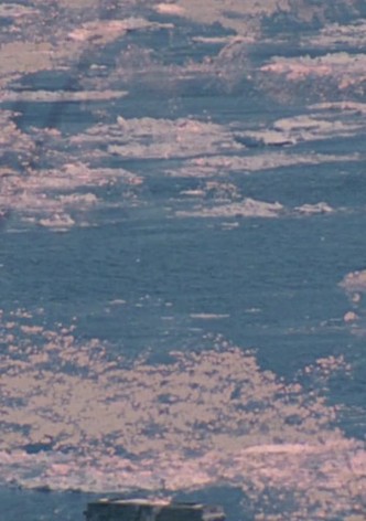 Visions in Meditation #3: Plato's Cave