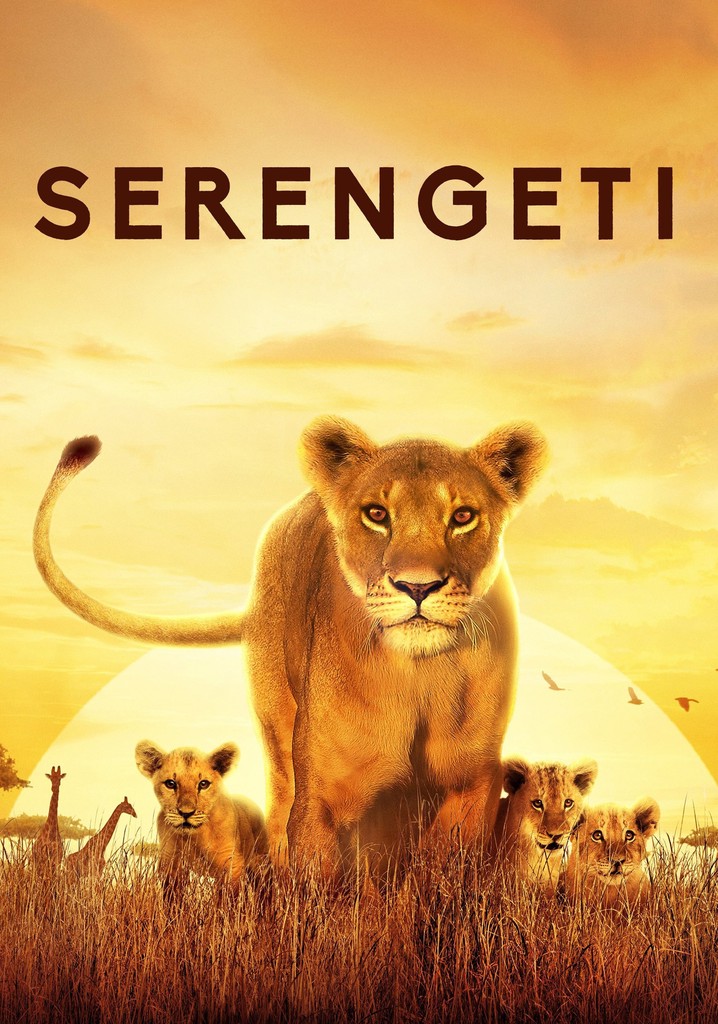 Serengeti Watch Tv Show Streaming Online