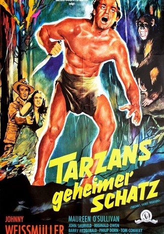 Tarzans geheimer Schatz