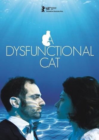 A Dysfunctional Cat