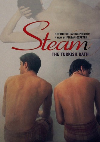 Steam: The Turkish Bath