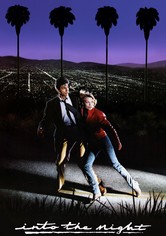 Κυνηγητό μέσα στην νύχτα