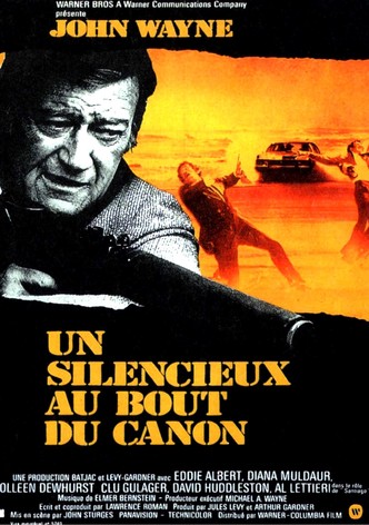 Un silencieux au bout du canon