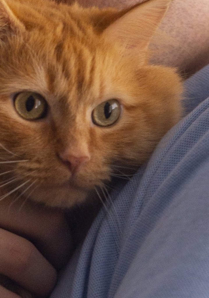 Arbuckle: A Garfield Fan Film