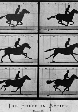 Sallie Gardner au galop