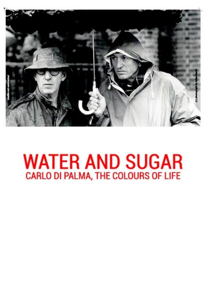 Water and Sugar: Carlo Di Palma, the Colours of Life
