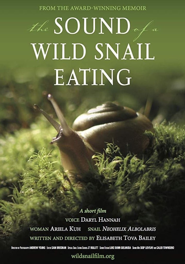 The Sound of a Wild Snail Eating